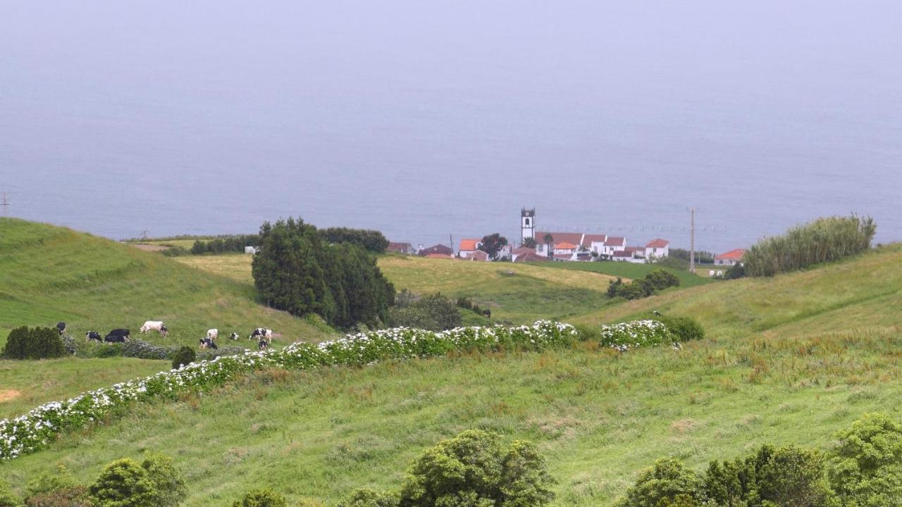Resilience House Villa Feteira Grande Eksteriør billede